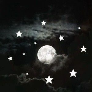 Meet your Posher, Marley